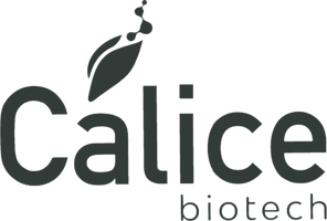 Calice